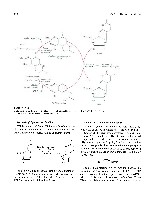 Bhagavan Medical Biochemistry 2001, page 673